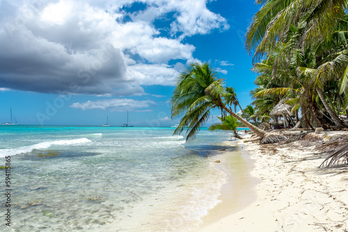 Fototapeta Naklejka Na Ścianę i Meble -  Dominican Republic, beautiful Caribbean coast with turquoise water and palm trees.
