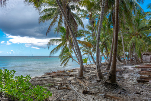 Dominican Republic  beautiful Caribbean coast with turquoise water and palm trees.