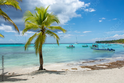 Fototapeta Naklejka Na Ścianę i Meble -  Dominican Republic, beautiful Caribbean coast with turquoise water and palm trees.