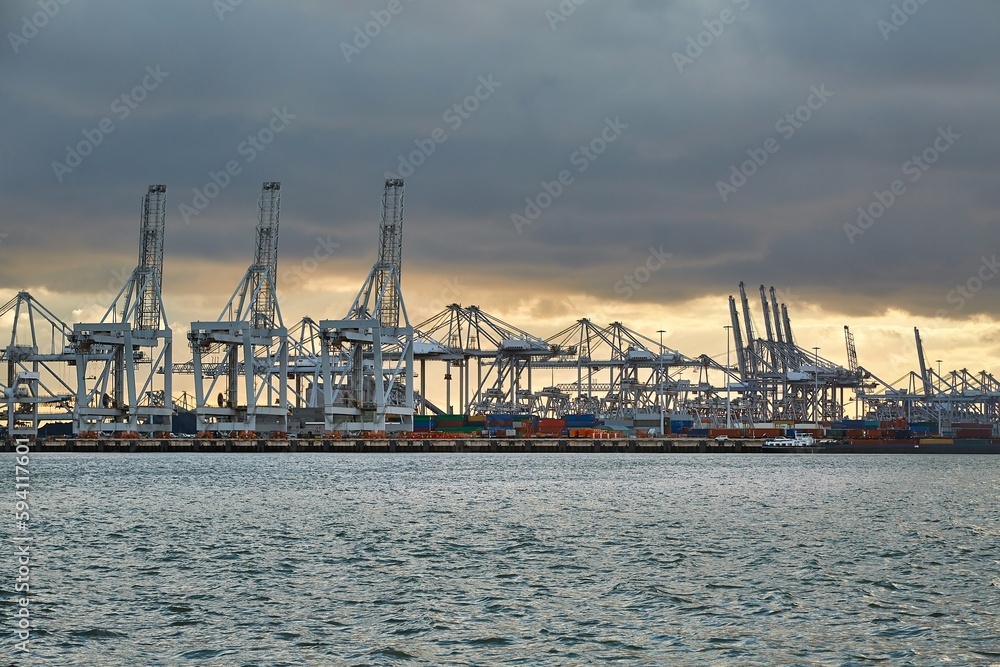 Fototapeta premium Container Dock in Rotterdam