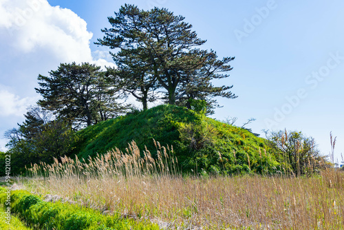 日本の風景　秋田県にかほ市　象潟九十九島の田園風景 photo