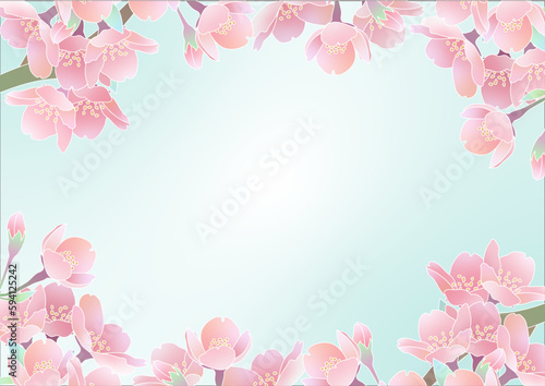 桜　背景