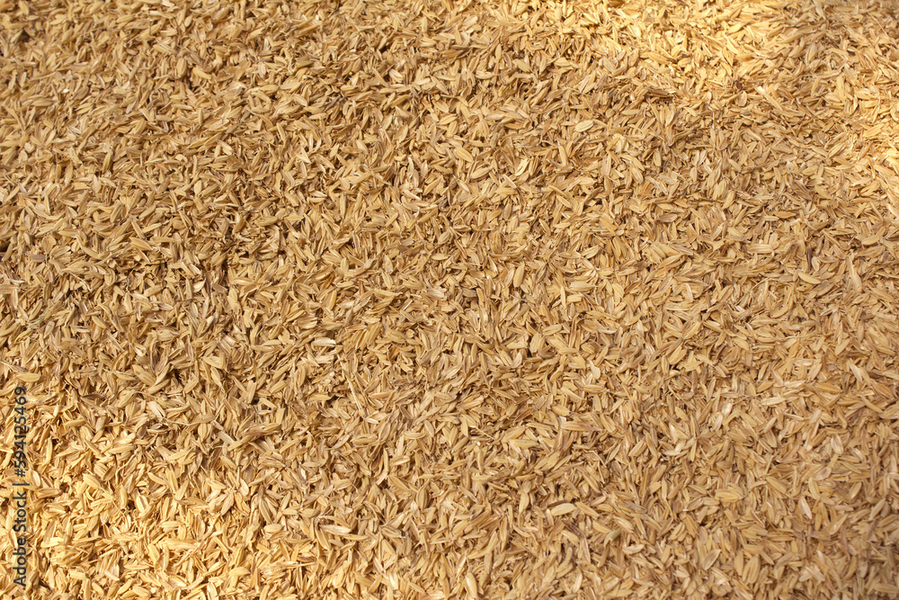 rice peel after harvest and hull background. rice peel after harvest and hull background.