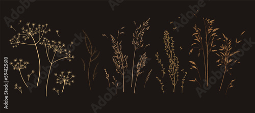 Set with meadow herbs. Botanical collection with dried plants. Dark background. Line art. Vector illustration. Colorful.