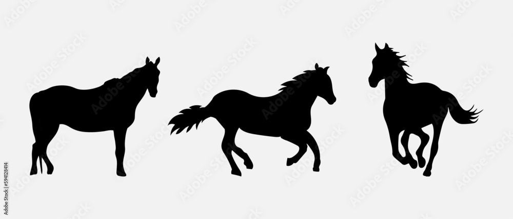 isolated black silhouette of a horse, vector collection