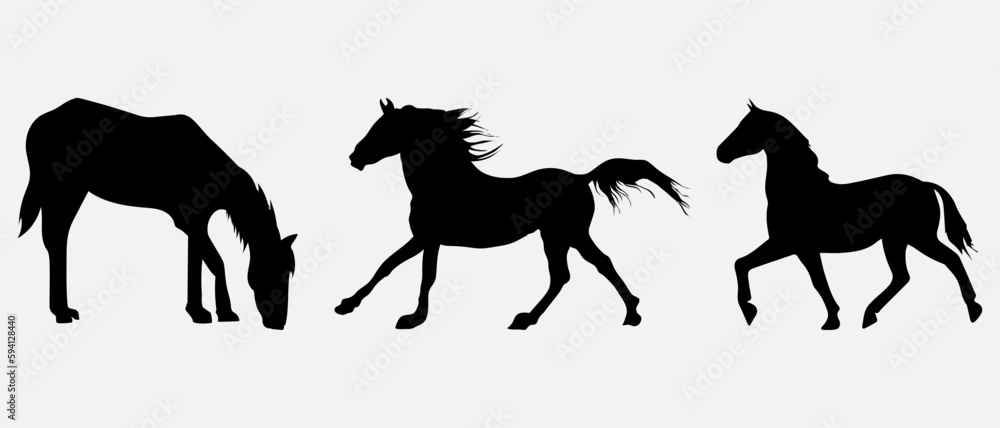 isolated black silhouette of a horse, vector collection isolated black silhouette of a horse, vector collection
