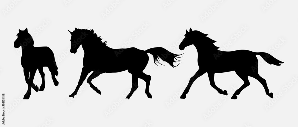 isolated black silhouette of a horse, vector collection isolated black silhouette of a horse, vector collection