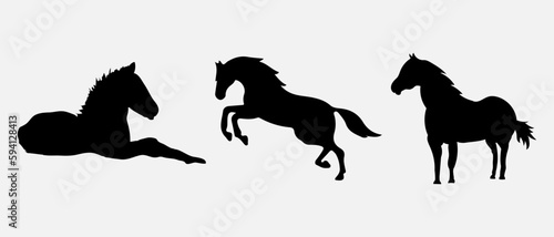 isolated black silhouette of a horse  vector collection