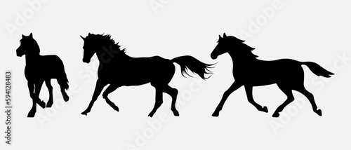 isolated black silhouette of a horse, vector collection