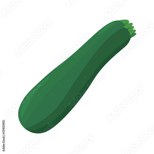 Vector illustration of zucchini on a white background.