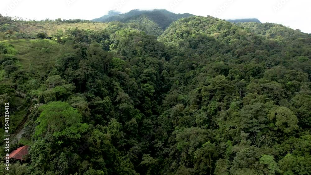 Costa Rica jungle rainforest, aerial view with green tropical trees Costa Rica jungle rainforest, aerial view with green tropical trees