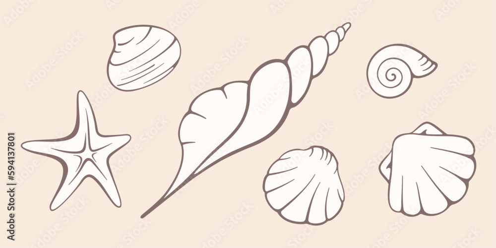 Seashells vector flat illustration. Collection of hand drawn vector elements on pastel background. Best for textile, wallpapers, home decoration, wrapping paper, package and web design. Seashells vector flat illustration. Collection of hand drawn vector elements on pastel background. Best for textile, wallpapers, home decoration, wrapping paper, package and web design.