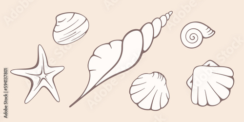Seashells vector flat illustration. Collection of hand drawn vector elements on pastel background. Best for textile, wallpapers, home decoration, wrapping paper, package and web design.