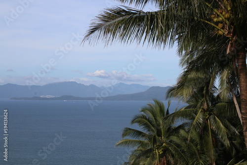 Tropical landscape. View of a tropical island in the sea. View of the strait and palm trees on the shore.