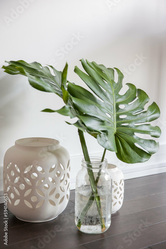 vertical shot of two large monstera leaves in glass vase with white ceramic vases 