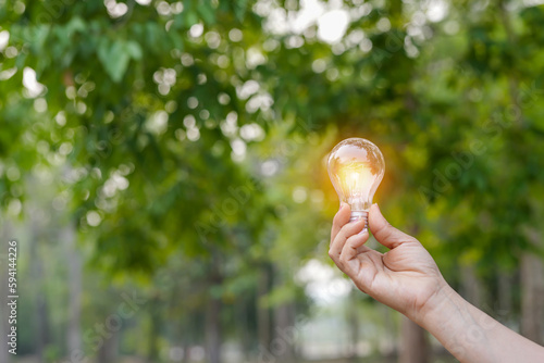 Light bulbs that grow, in the concept of energy in nature.