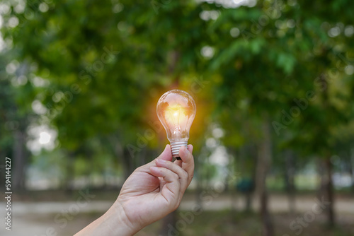 Light bulbs that grow, in the concept of energy in nature.