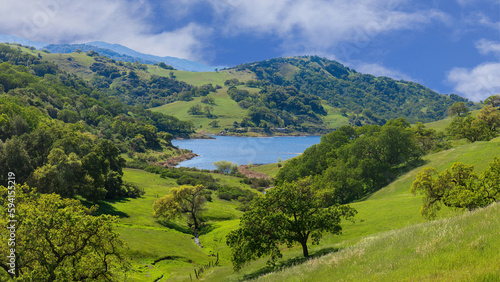 Fototapeta Naklejka Na Ścianę i Meble -  Calero Reservoir with Lushy Green Oak Forest and Grasslands. Calero County Park, Santa Clara County, California, USA.