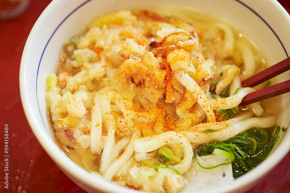 Udon with vegetable tempura, Tempura udon