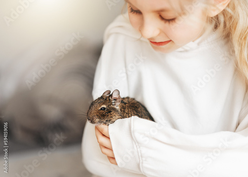 Young girl playing with small animal degu squirrel.