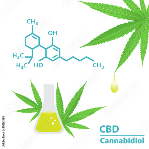 Chemical structure of cannabidiol vector on white background. Drop of cannabis extract, hemp, ganja, marijuana, hash. CBD in beaker with cannabis leaves. Medical cannabis concept illustration.
