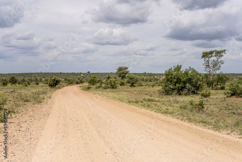 dirt road bending in Kruger park wild countryside, South Africa