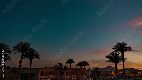 Palm trees at sunset. Timelapse of a beautiful sunset with palm trees