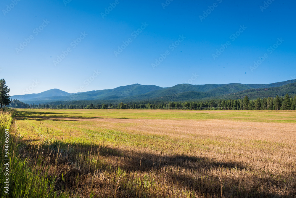 Field in Mountain Valley