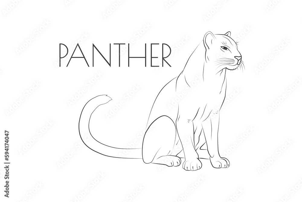 Obraz premium Illustration of a Animal - Panther, Mammalia