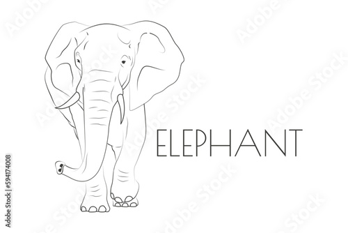 Illustration of a Animal - Elephant Mammalia