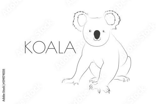 Canvas Print Illustration of a Animal - Koala, Mammalia