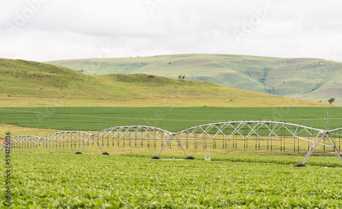 agricultural landscape in South Africa showing centre pivot irrigation watering system on a farm in Kwazulu Natal