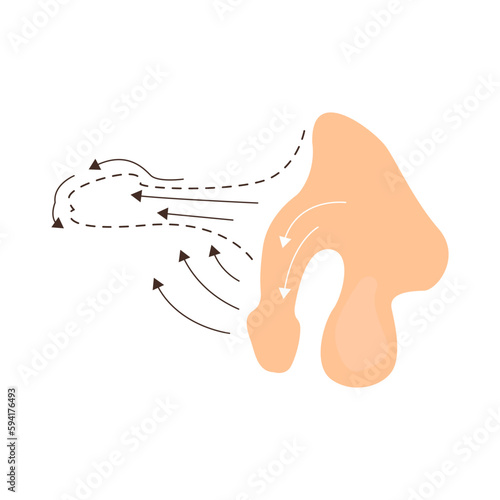 Penis enlargement illustration in color cartoon style. Editable vector graphic design.