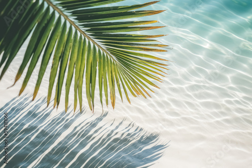 Summer background. Palm leaves on wave beach. Generative ai.