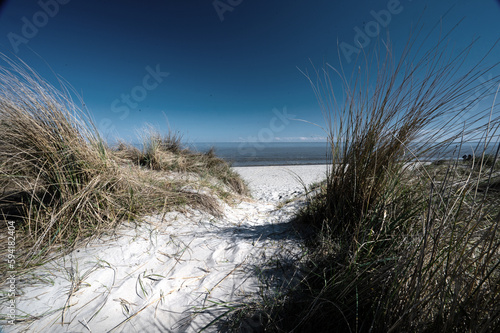 Düne am Strand von Schillig