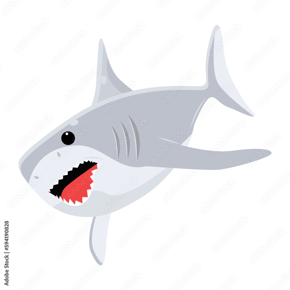 Shark Fish Shark Fish