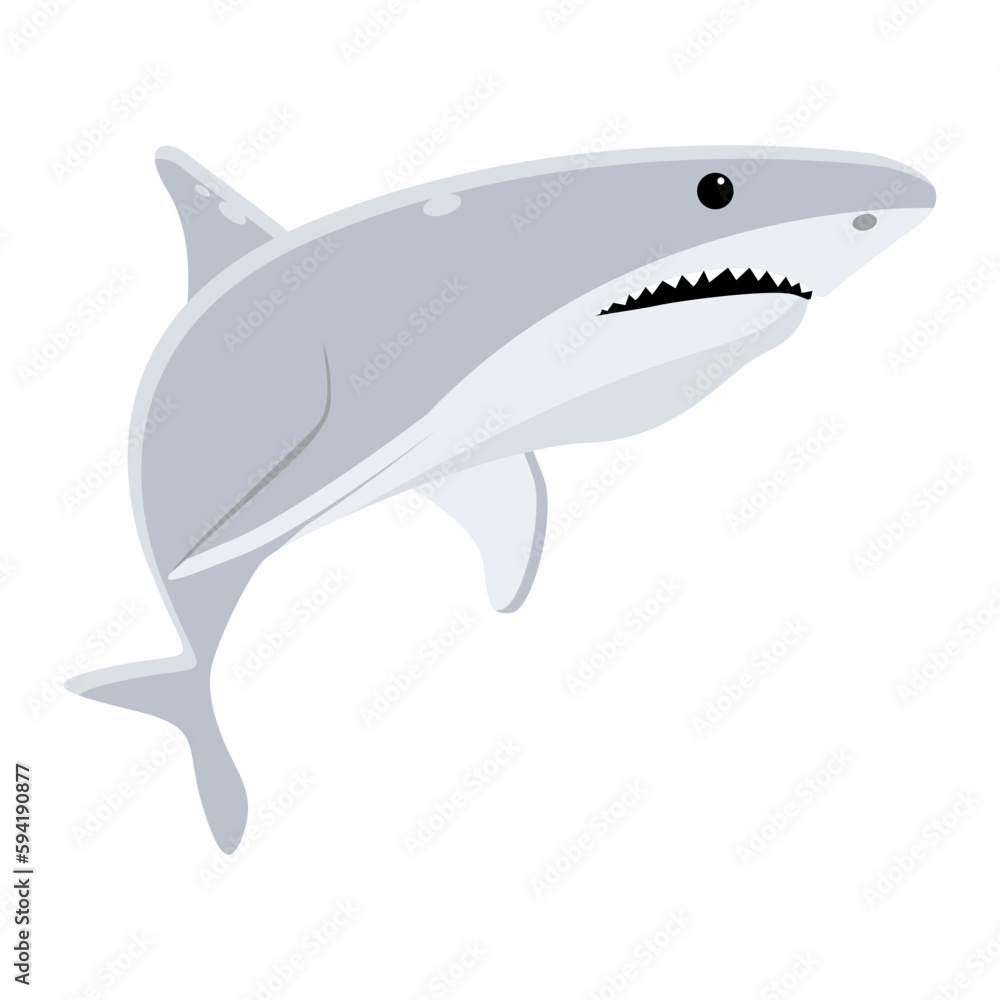 Obraz premium Carcharodon Carcharias