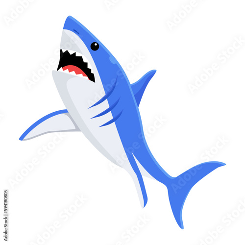 Blue Shark 