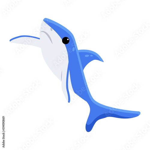 Blue Shark 