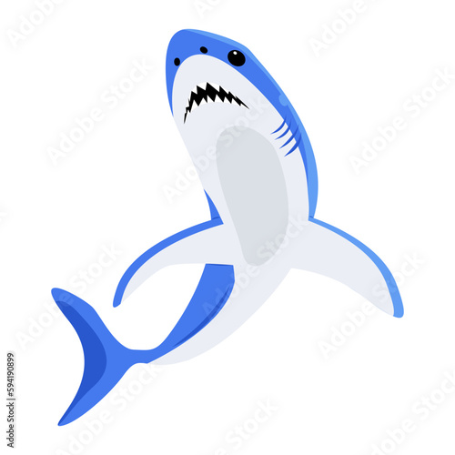Blue Shark 