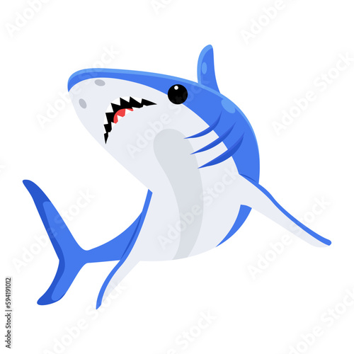 Blue Shark 