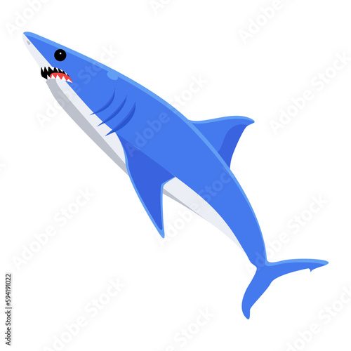 Blue Shark 