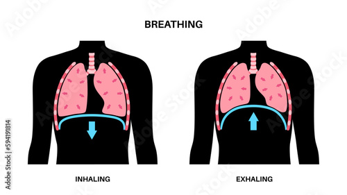 Breathing process poster