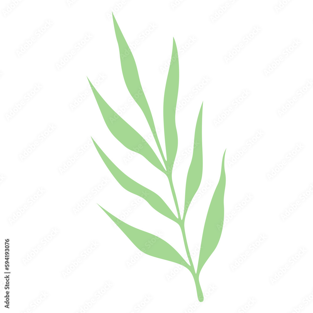 Fototapeta premium aesthetic handdrawn leaf