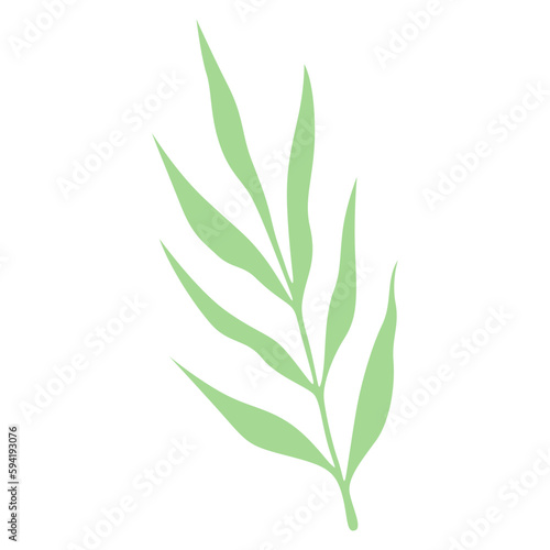 aesthetic handdrawn leaf