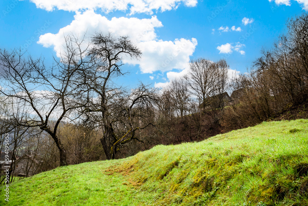 green hills with bare trees in early spring. green hills with bare trees in early spring.