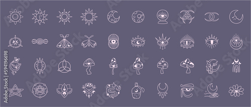 Mysticism esoteric outline icons vector bundle, mystical line monochrome clip art, Celestial floral moon, Flower and mushrooms hand drawn symbols pack, isolated illustrations in black and white