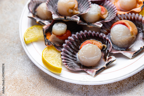 scallop in shell seafood meal snack on the table copy space food background rustic top view 