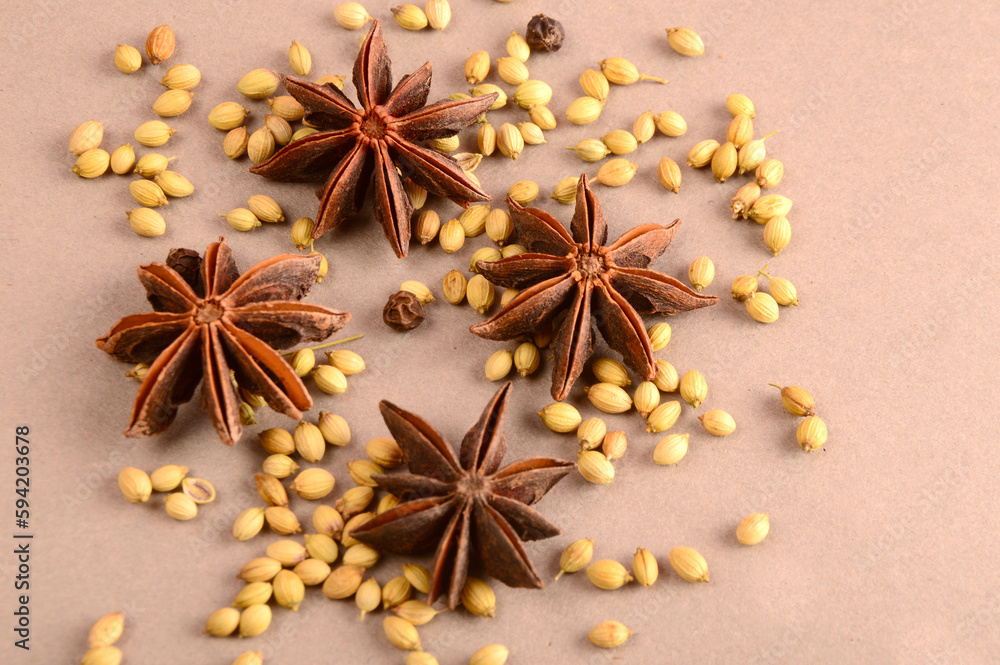 Cinnamon stick and star anise spice. Cinnamon stick and star anise spice.