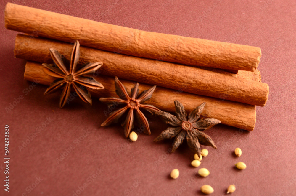 Cinnamon stick and star anise spice. Cinnamon stick and star anise spice.